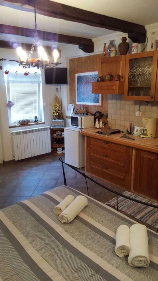 Apartman Ruza 3 Poljane Extérieur photo